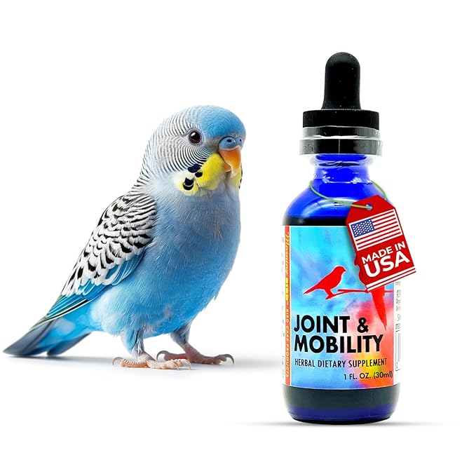 Morning Bird Joint & Mobility 1 fl oz – Herbal Liquid Supplement for Birds – Supports Joint Health, Muscle Comfort & Mobility – Ideal for Aging or Recovering Birds