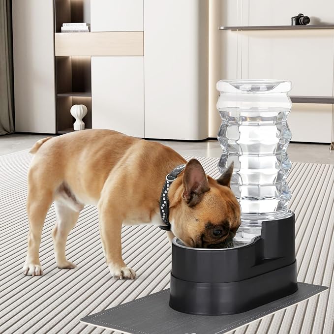 RIZZARI 8L Elevated Pet Water Dispenser – Stainless Steel Gravity Waterer | for Medium/Large Dogs & Senior Pets, Comfortable Drinking Height for Living Rooms & Multi-Pet Homes, Auto refill