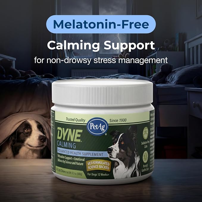 PetAg Dyne Soft Chews, Calming Supplement - Vet-Formulated for Dogs to Manage Normal Stress from Loud Noises, Travel & Separation - Non-Sedative - 60 Chicken Liver Flavor Chews