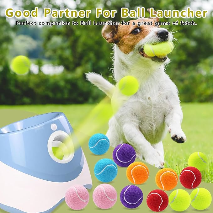 Magicorange Small Tennis Balls, 40 Pack 2 inch Tennis Balls for Dogs, Colorful Easy Catching Pet Dog Playing Ball (Multicolor,40 Pack)