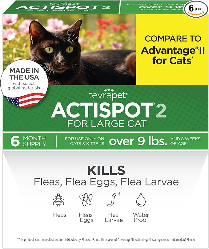 TevraPet Actispot II Flea Treatment for Large Cats 9+ lbs | 6 Doses | Powerful Prevention and Control