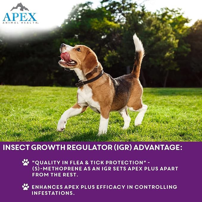 Apex Plus Flea and Tick Prevention for Dogs | Large (45-88 lbs) | 6-Month Supply | Dog Flea and Tick Treatment | 24-Hour Activation, Waterproof, 30-Day Protection