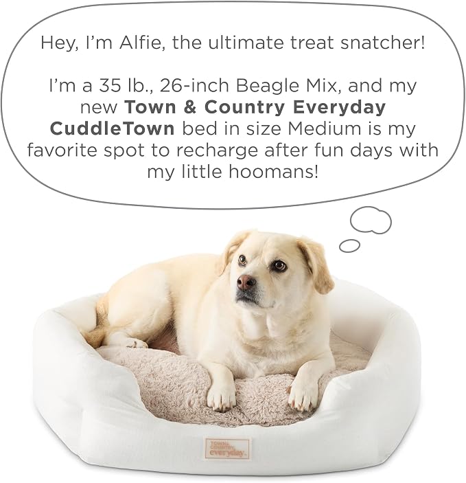 Town & Country Everyday CuddleTown Faux Linen Comfy Cozy Cuddler Pet Bed, Supportive & Calming Egg Crate Foam, Non-Slip Bottom, Machine Washable Cover, Blue, Medium 28"x26"x8"