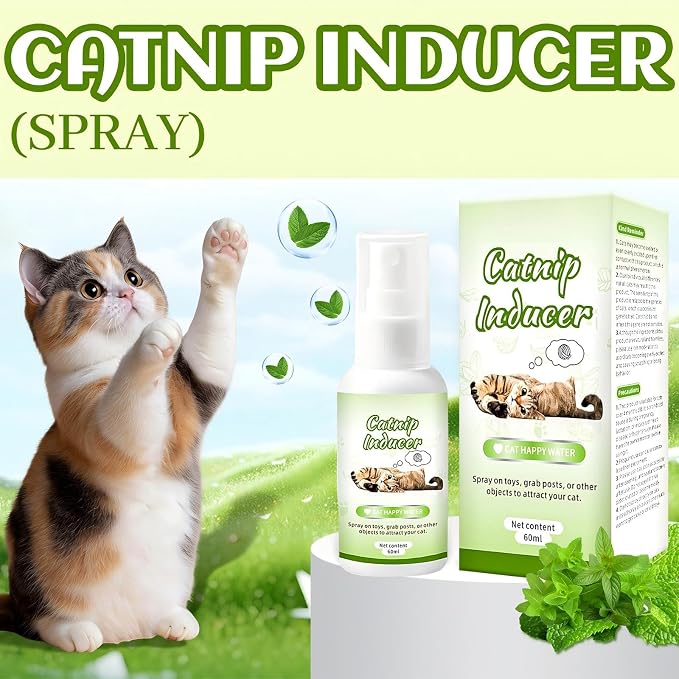 JoanofArc Catnip Spray for Cats, 100% Natural Dual-Plant Formula for Cats & Kittens, Highly Potent for Energizing Play & Toy Renewal, Calming Stress Relief for Indoor Cates 60 ML