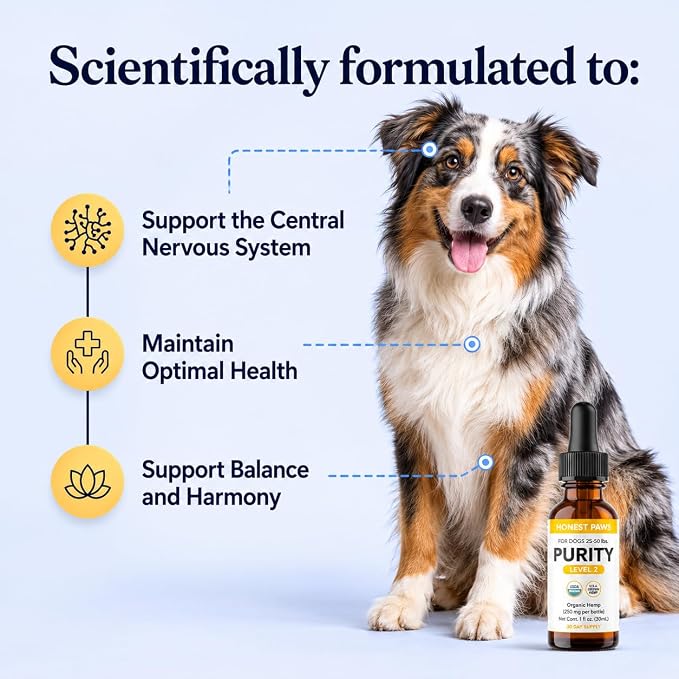 Honest Paws Hemp Oil for Dogs - Natural Hemp Seed Oil Drops Rich in Omega 3 6 9 - May Help Support Calm Behavior, Physical Comfort & Overall Wellness - Made in USA