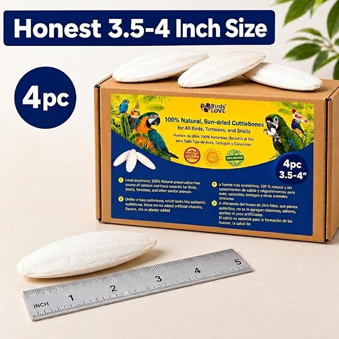 Birds LOVE 3.5-4″ Cuttlebone for Birds – 100% Natural Sun-Dried Calcium & Beak Conditioning Supplement for Parakeets, Budgies, Cockatiels, Finches & Canaries – 4 Pack with Holder – Made in Vietnam