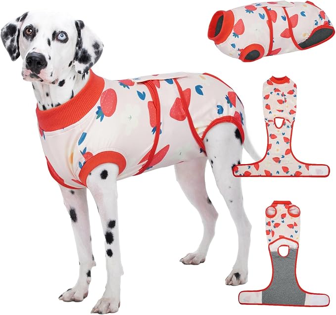 Kuoser Dog Recovery Suit for Female Male After Surgery, Printed Anti-Licking Dog Surgery Suit for Spay Neuter, Breathable Pet Bodysuit for Abdominal Wounds Skin Disease, Cone Alternative Onesie, XL