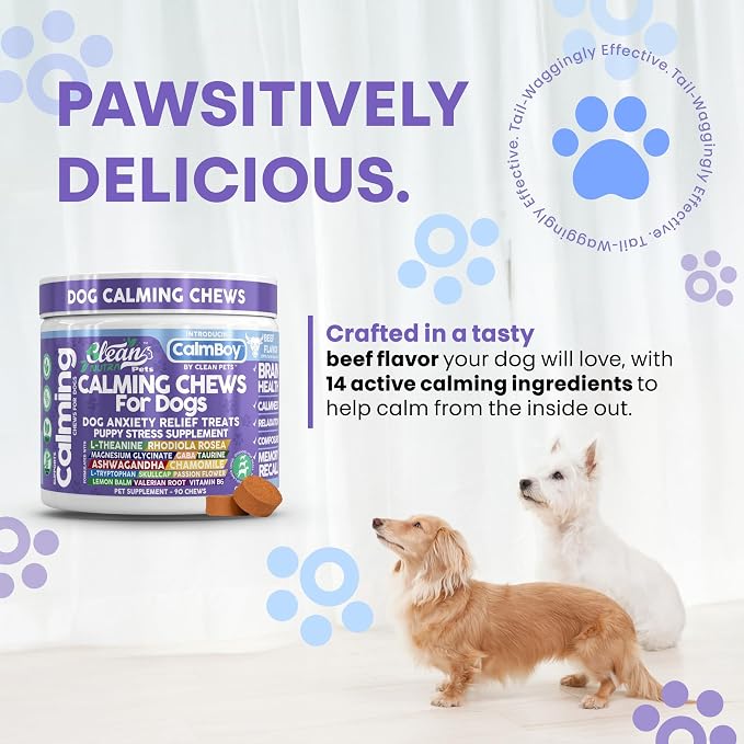 Clean Nutra Calming Chews for Dogs, Dog Anxiety Relief Supplement, L Theanine Ashwagandha Rhodiola GABA Magnesium Valerian Natural Ingredients, 90 Chews, Beef Flavor