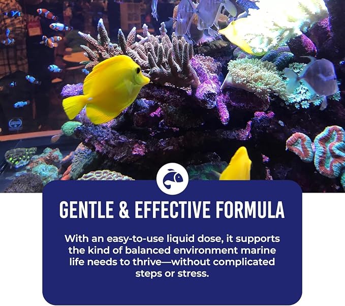 DrTim's Aquatics One and Only Saltwater (DrTim's Aquatics One and Only Saltwater 8oz)