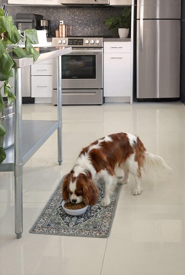 Lovewag Pets Waterproof 2-Pack Pet Feeding Mats - 16" x 24" Premium Cat & Dog Food Mat - Non-Slip, Machine Washable Food Mat Protects Floors & Contains Water Bowl Spills - Place Mats (Bohemian Jewel)