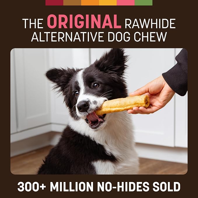 Earth Animal No Hide Chews - Long Lasting Rawhide Free Medium Dog Chews Rolls, Salmon - 6 Count