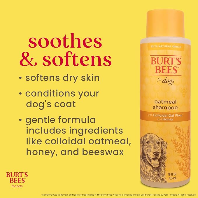 Burt's Bees for Pets Oatmeal Dog Shampoo with Honey, Soothing Formula for Itchy and Sensitive Dog Skin, Colloidal Oat Flour and Honey, pH Balanced, Sulfate-Free, 16 Fl Oz