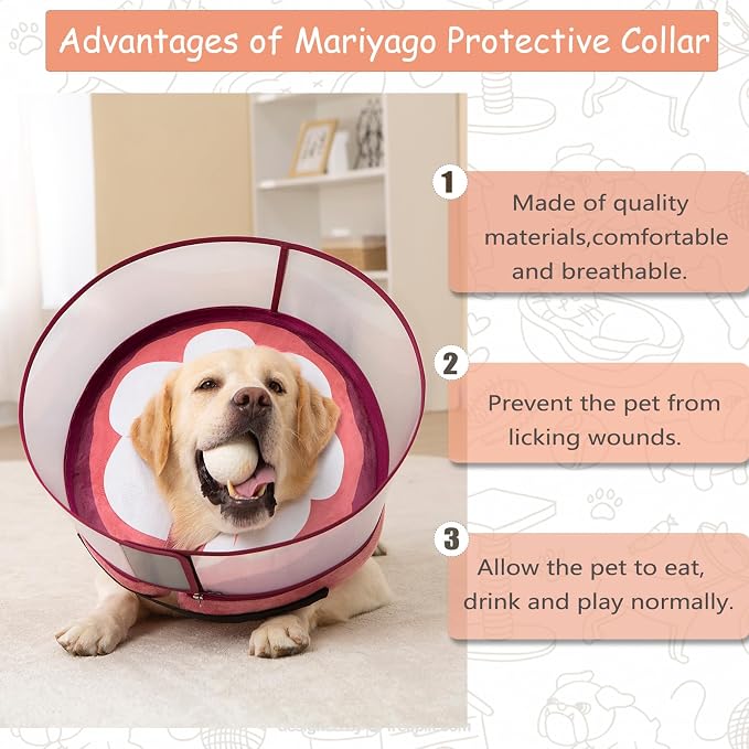 Inflatable Dog Cone Collar for Large Medium Small Dogs, Soft Dog Donut Collar Adjustable Recovery Cone for Pets After Surgery, Extra Enhanced Anti-Licking Guard Shield (Mangosteen, X-Large)