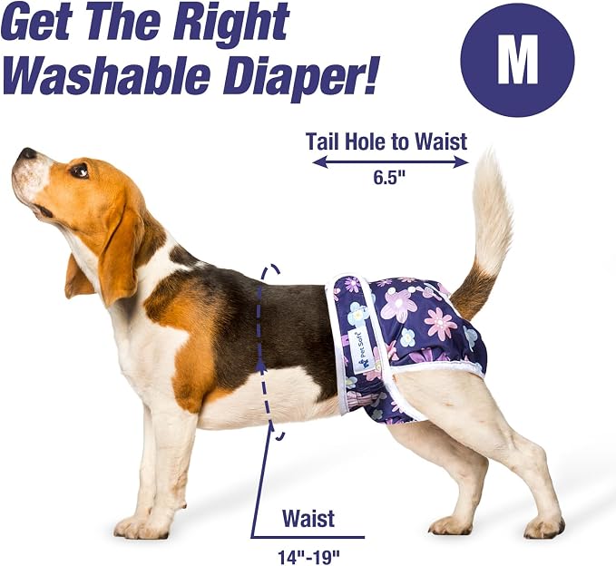 Pet Soft Washable Female Diapers (3 Pack) Female Dog Diapers, Comfort Reusable Doggy Diapers for Girl Dog in Period Heat (Bloom, M)