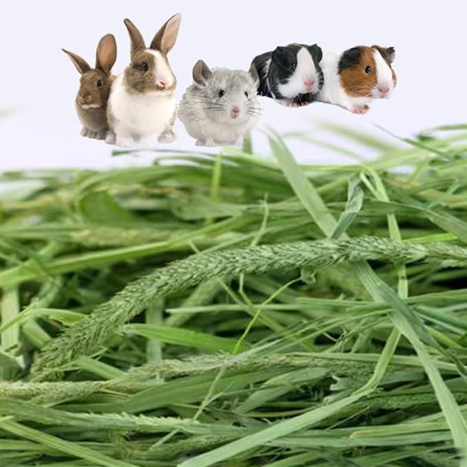 Timothy Hay 2.2 lbs and Timothy Hay Pellets 7 oz - for Rabbits Tortoise Guinea Pig