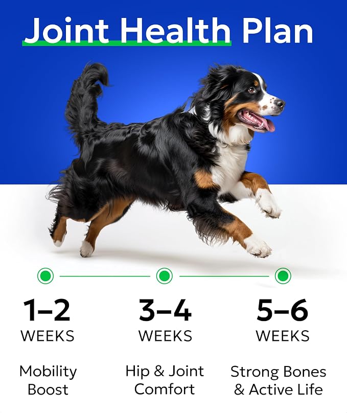 Bark&Spark Senior Advanced Glucosamine Chondroitin for Dogs - Hip Joint Pain Relief - Old Dog Joint Chews Large & Small Breed - Hip Joint Chews Joint Health Care Treats - 120Ct