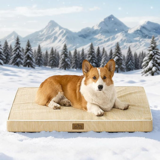 COZY KISS Cooling Orthopedic Dog Bed, Waterproof Egg Crate Foam Pet Bed with Removable Washable Cover, 36x27x3 Inch,Beige