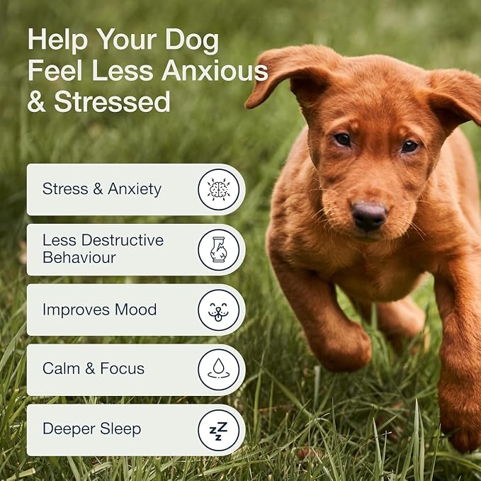 Pure Dogs Calming Chews for Anxiety & Stress Relief - Dog Treats with Organic Hemp & GABA - Soothe Scratching & Restlessness - 90 Calming Treats