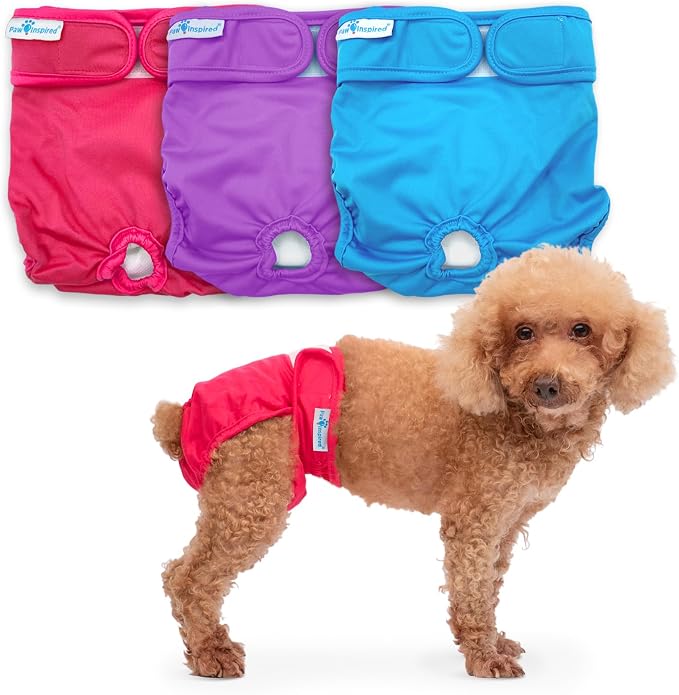 Paw Inspired Washable Reusable Dog Diapers Female, Cloth Dog Diapers, Dogs in Heat, Dog Incontinence (Assorted (White Lining), Small (3 Ct.))