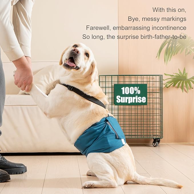 3 Pack Avont Male Dog Belly Band with Suspenders, Reusable Boy Doggie Diaper with Harness, Escape Proof, Non-Slip, Washable Doggy Pee Wraps for Small Medium Large Dogs