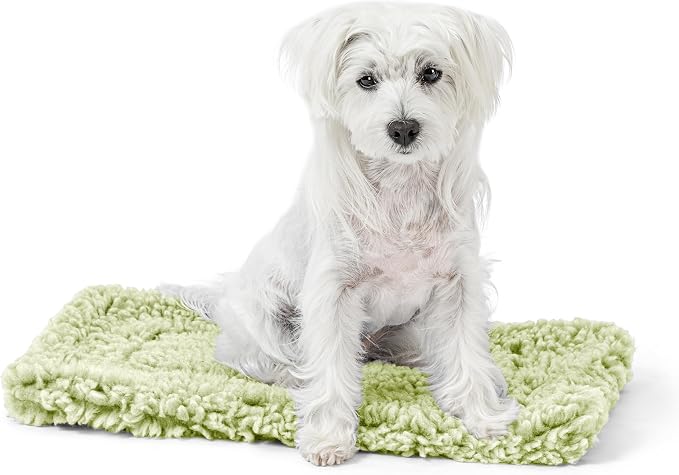 PELZIN Stoutwool Indestructible Dog Bed - Fluffy Chew Proof Dog Crate Pad - Tough Kennel Pad for Aggressive Chewers - Ideal for Extra Small Breeds & Fits 22-Inch Crate - 21"x12", Gleam