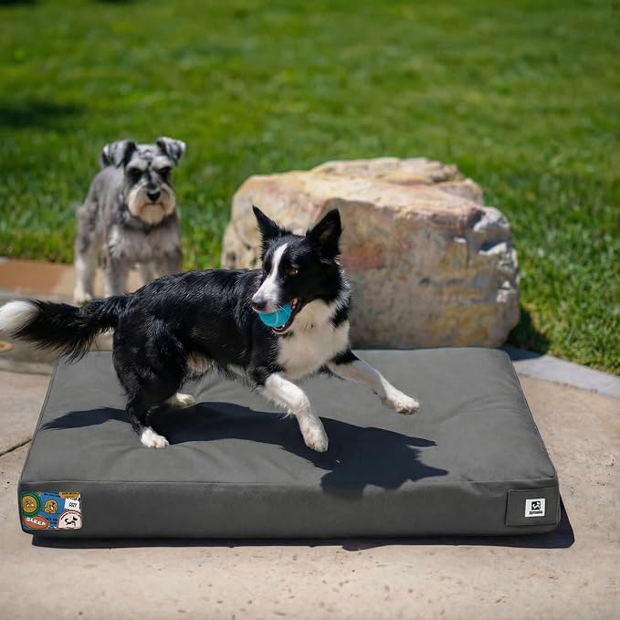 Sytopia 36 Inch Canvas Outdoor Dog Bed for Large Dogs, Durable Dog Bed with Waterproof Machine Washable Removable Cover, Indoor Patio Pet Pad for Crate, Dark Grey