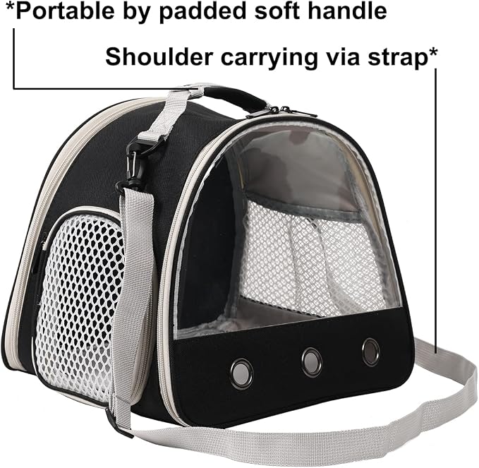 Bearded Dragon Travel Backpack Carrier Bag+Reptile Climbing Hammock