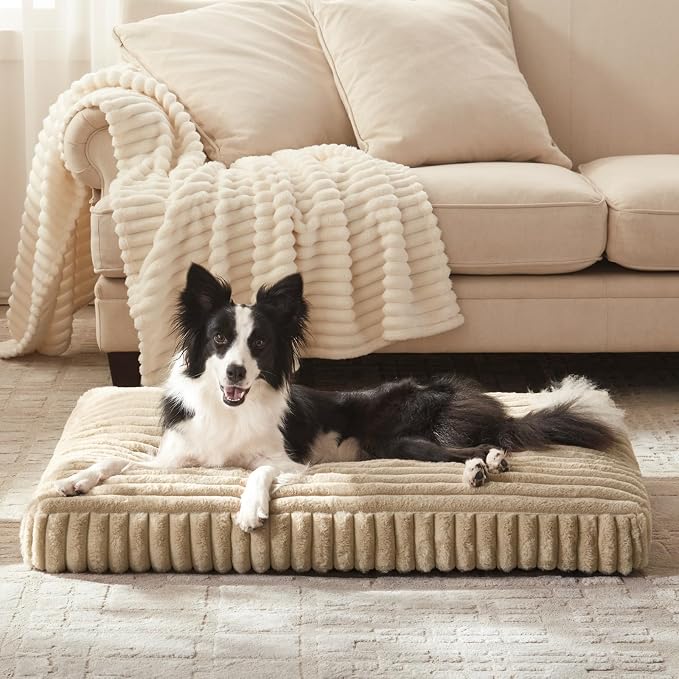 XL Dog Bed, Flat Pet Beds with Removable Washable Cover, Pet Mat Cute Dog Crate Bed Thick Shredded Chopped Crate Foam & Anti Slip Bottom for Indoor, 42"x27"x4"
