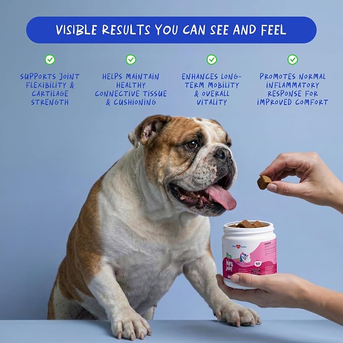 Hip & Joint Max Strength Dogs - Collagen, Glucosamine & Fish Oil | Max Strength with Collagen, Glucosamine & Fish Oil. Supports hip & joint health, eases inflammation & acts as antioxidant.