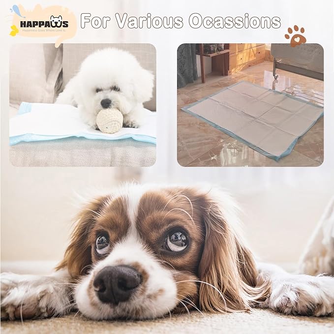 Pee Pads for Dogs, Multi-Sized Puppy Pads, 5-Layer Leak-Proof Dog Pads, 30*30inches 300 Count Wee Wee Pads for Dogs, Disposable Strong Absorption Pads for Cats Doggie Rabbits