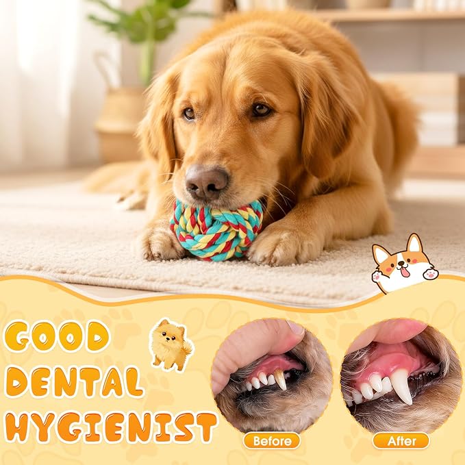 27 Pack Dog Rope Toys for Aggressive Chewers, Heavy Duty Teething Chew and Tug Toy Set for Medium and Large Dogs, Puppy Toys with Fun Fruit & Cartoon Shapes