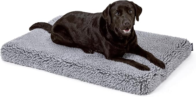 PELZIN Stoutwool 4" Indestructible Dog Bed - Orthopedic Chew Proof Dog Crate Pad - Fluffy Kennel Mat for Aggressive Chewers - Ideal for Large Breeds & Fits 42-Inch Crate - 41"x27", Charcoal