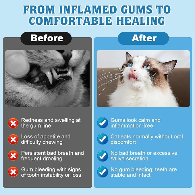 Oral Health for Cats, Cat Gingivitis Treatment, Reduce Gum Inflammation, Redness & Pain, Combats Gum Disease, Natural Plant-Based Active Formula, Cat Oral Care, Gums Health Treatment, 4 oz (113g)