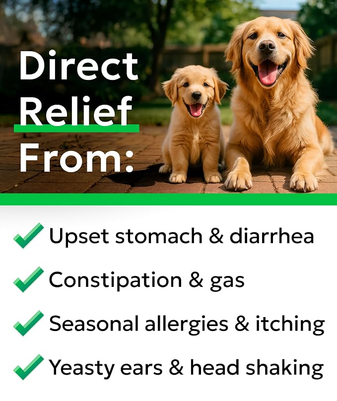 BARK&SPARK Dog Probiotics 180 Chews for Digestive Health w/Enzymes & Fiber - Diarrhea Gas Treatment Upset Stomach Relief - Allergy & Itchy Skin - Pet Probiotics for Dogs
