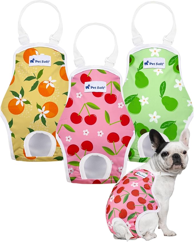 Pet Soft Dog Diapers Female Onesie Sanitary Pantie with Adjustable Suspender, Colorful Pattern Washable Puppy Diapers Female, Super Absorbent Underwear Dog Diapers for Heat (Fruit, Mini-Small)