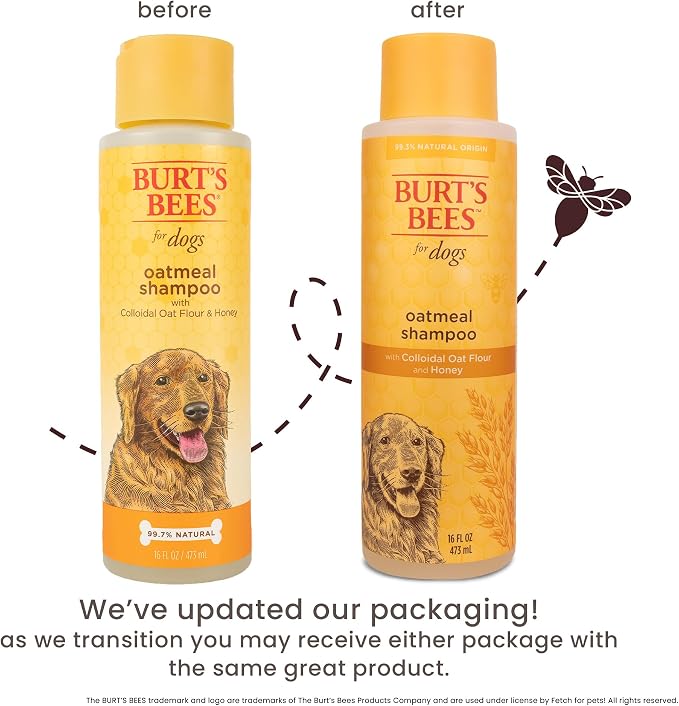 Burt's Bees for Pets Oatmeal Dog Shampoo with Honey, Soothing Formula for Itchy and Sensitive Dog Skin, Colloidal Oat Flour and Honey, pH Balanced, Sulfate-Free, 16 Fl Oz