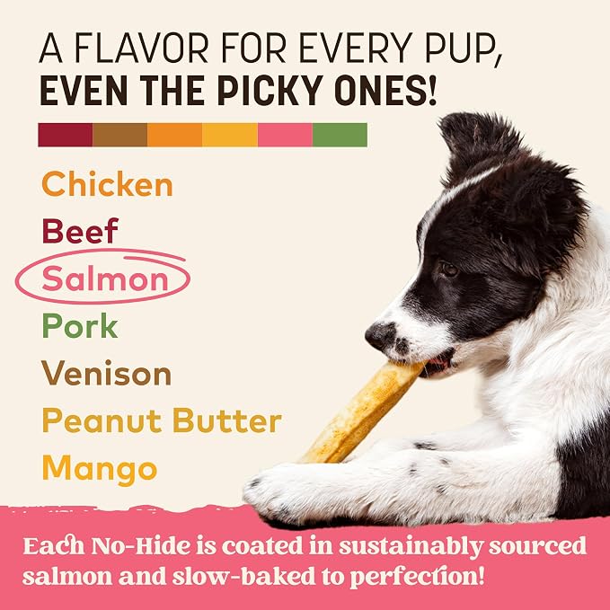 Earth Animal No Hide Chews - Long Lasting Rawhide Free Medium Dog Chews Rolls, Salmon - 3 Count Value Pack