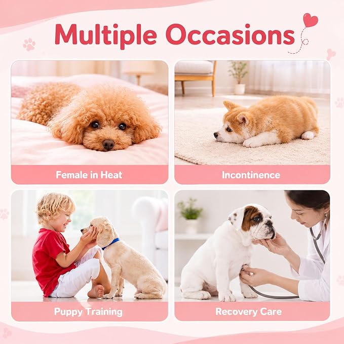 Disposable Female Dog Diapers for Waist 16–21 in, Leakproof, Super Absorbent, Soft Breathable Lining, for Dogs in Heat or Incontinence, 22 Count, L