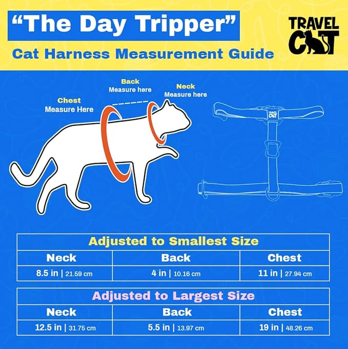 Fat Cat Backpack Carrier with Space Capsule Bubble & Adjustable Escape Proof Cat Harness and Bungee Leash Set - Airline Approved Kitten Travel Bundle for Outdoor, Hiking, and Adventures - Charcoal & C