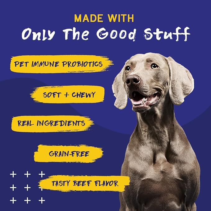 PupGrade Itch & Allergy Soft Chews for Dogs – Helps Reduce Occasional Itching – Skin & Coat Support Supplement with Pet Immune Postbiotics & Salmon Oil – Probiotic Immune & Gut Support – 60 Count