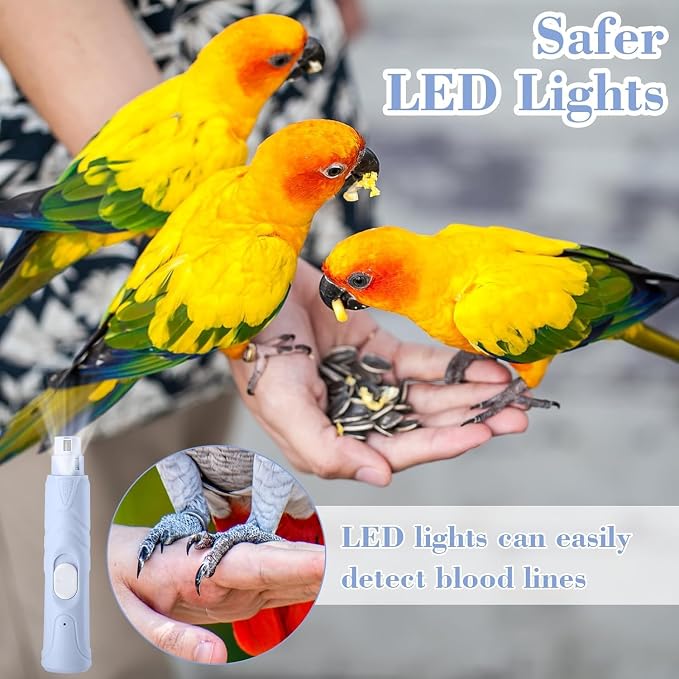 Electric Nail Grinder with LED Light for Birds & Small Animals | 3-in-1 Nail Care Kit with Nail File & Clipper | Safe and Quiet Grooming Tool for Hamsters, Rabbits, and Other Small Pets
