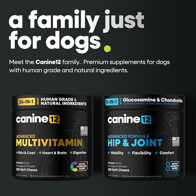 Dog Multivitamin - 24-in-1 Chewable Supplement with Vitamins A, B, C, D, E and Dog Probiotics – Premium Dog Vitamin Chews w/Human-Grade & Natural Ingredients, 120 Count