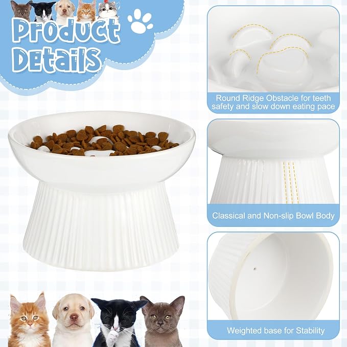Tioncy 2 Pcs Raised Cat Slow Feeder Bowl Ceramic Elevated Cat Dog Food Bowl No Spill High Edge for Dry Wet Food and Water Easy to Clean, Dishwasher Safe (Dark Green,White)