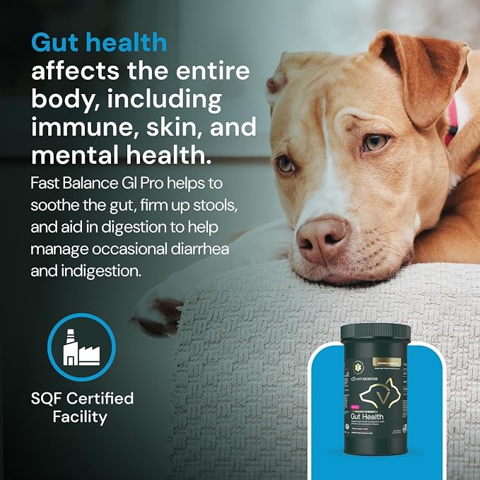VetriScience Veterinary Strength Gut Health Powder - Gut Health Supplement for Pets - Immunity Support - Pet-Friendly Probiotic Powder - Tasteless & Odorless - 60 Servings