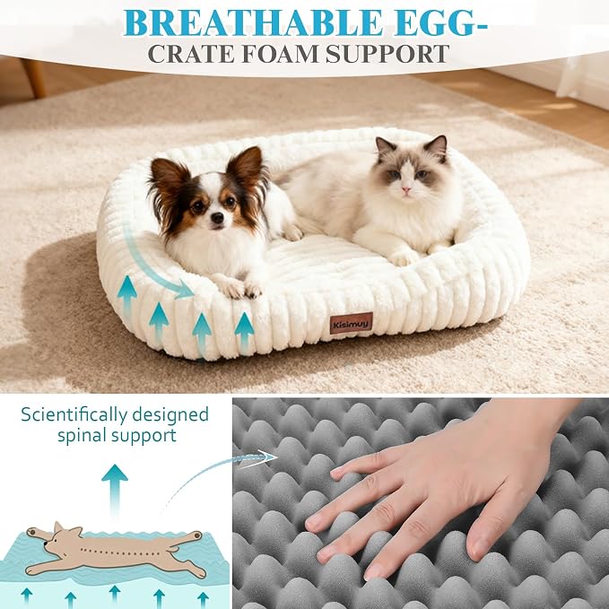 Orthopedic Dog Bed, Washable Small Dog Couch for Senior Dogs | 25L x 21W x 4H, Egg-Crate Foam, Low Front Entry Design, Removable Cover, Non-Slip Bottom, Small Dogs, Cream