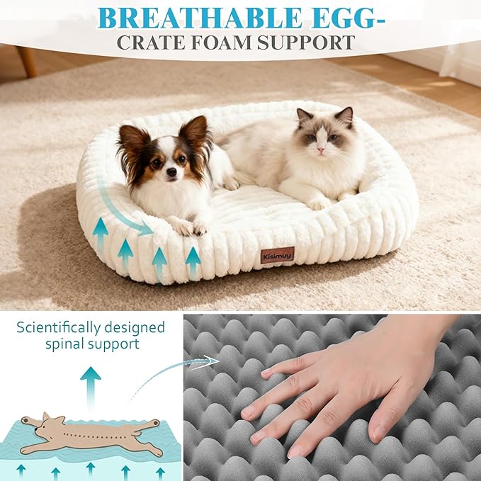 Orthopedic Dog Bed, Washable Medium Dog Couch for Senior Dogs | 30L x 24W x 5H, Egg-Crate Foam, Low Front Entry Design, Removable Cover, Non-Slip Bottom, Medium Dog Bed, Cream