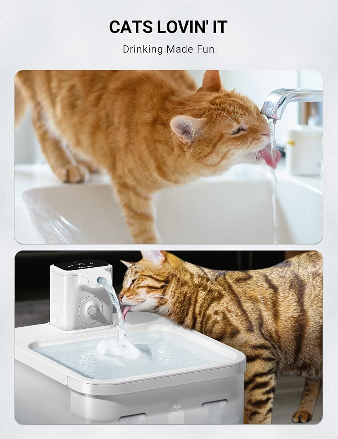 DownyPaws White Battery Operated Water Fountain Cats Wireless Fountain with 6 pcs Replacement Filters for 3 Months