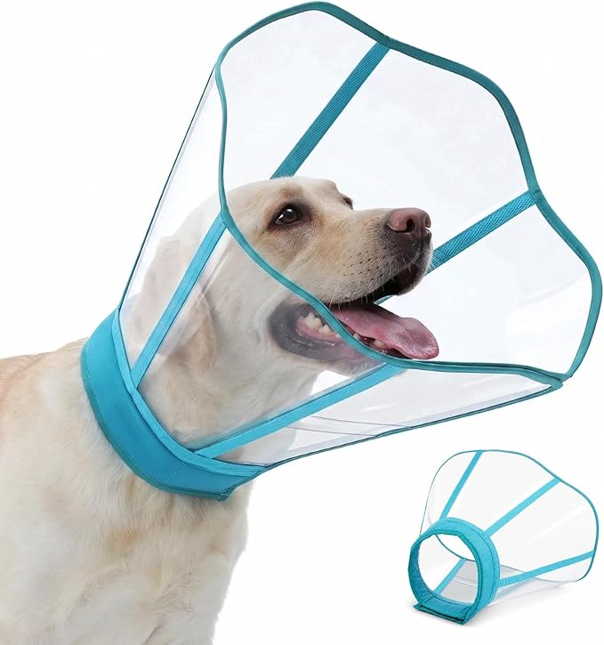 Soft Neck Pad - Hard Plastic Dog Surgery Recovery Cone Collar for Small Dogs, Clear Vision Cone for Dogs to Stop Licking, Comfy Dog Head Cones of Shame, Extra Long Elizabethan Collar, Blue-Green, S