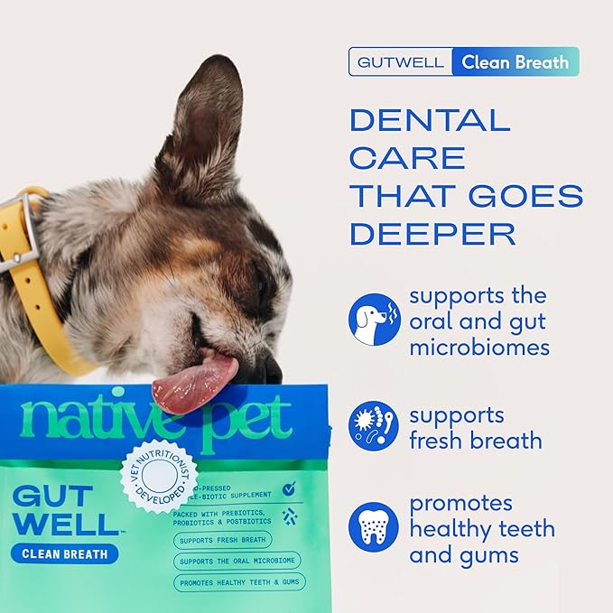 Native Pet GutWell Clean Breath - Dog Breath Freshener & Dog Teeth Cleaning Powder Cold-Pressed to Reduce Plaque, Tartar & Promote Oral Health with Triple-Biotic Blend, Brown Algae & Zinc - 60 Scoops