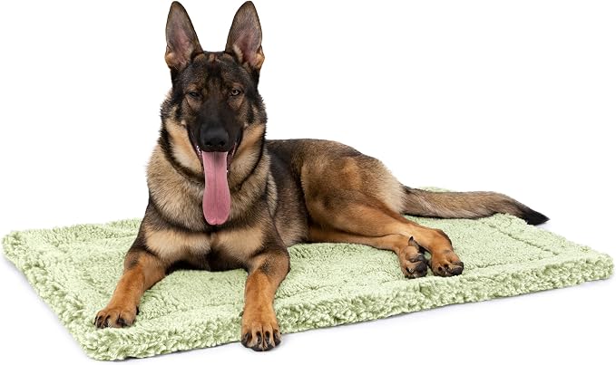 PELZIN Stoutwool Indestructible Dog Bed - Fluffy Chew Proof Dog Crate Pad - Tough Kennel Pad for Aggressive Chewers - Ideal for Extra Large Breeds & Fits 48-Inch Crate - 47"x29", Gleam